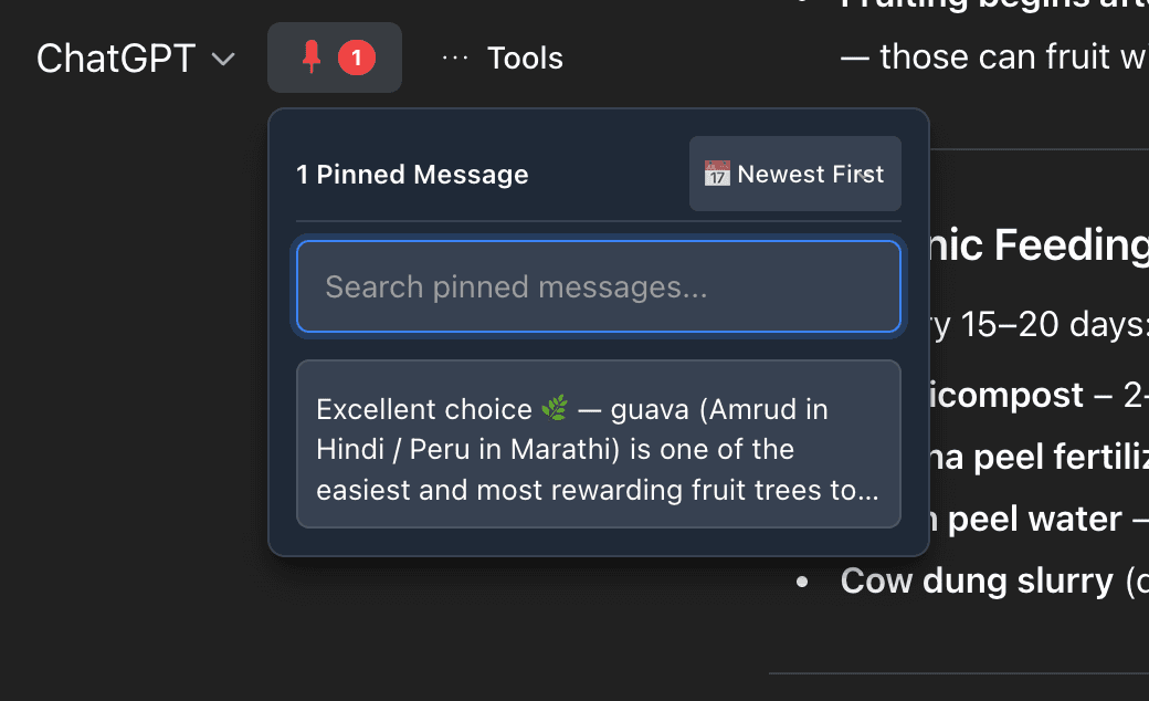 Access Pinned Messages